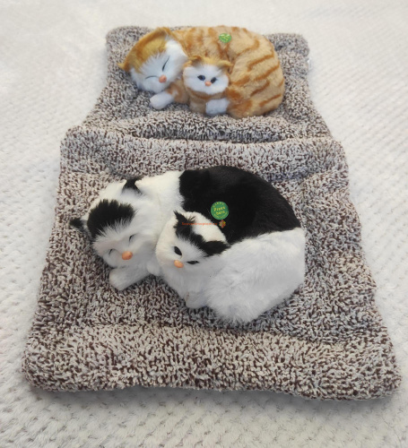 "Кошка с котенком" во Алдане
