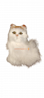 Кот из меха средний во Алдане