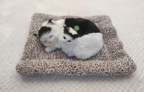 "Кошка с котенком" во Алдане фото 2
