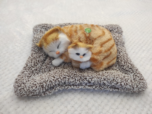 "Кошка с котенком" во Алдане фото 3