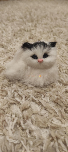 Кот из меха № 1 во Алдане